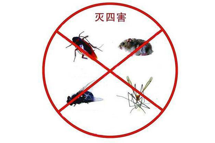 大连除灭四害的4个重要意义