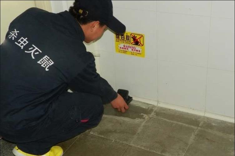 大连灭蟑螂为什么要找消杀公司